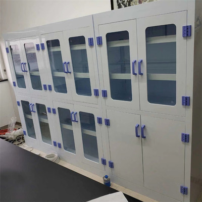 柳州实验室通风药品柜/PP药品柜/留样柜/试剂柜