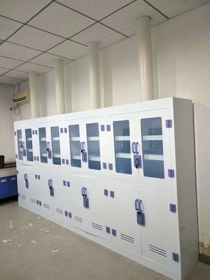 南宁实验室药品柜/PP试剂柜/通风药品柜