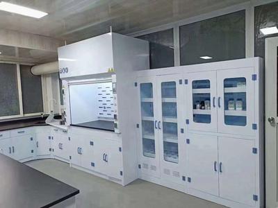 百色实验室通风药品柜/PP药品柜/留样柜/试剂柜